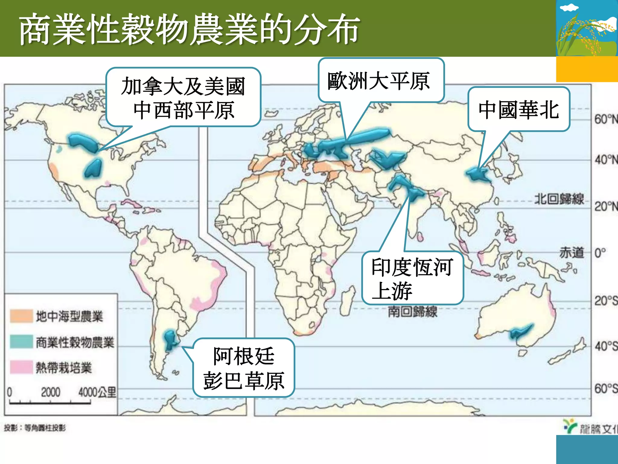 商業性穀物農業的分布
   加拿大及美國    歐洲大平原
   中西部平原              中國華北




               印度恆河
               上游


      阿根廷
      彭巴草原
 