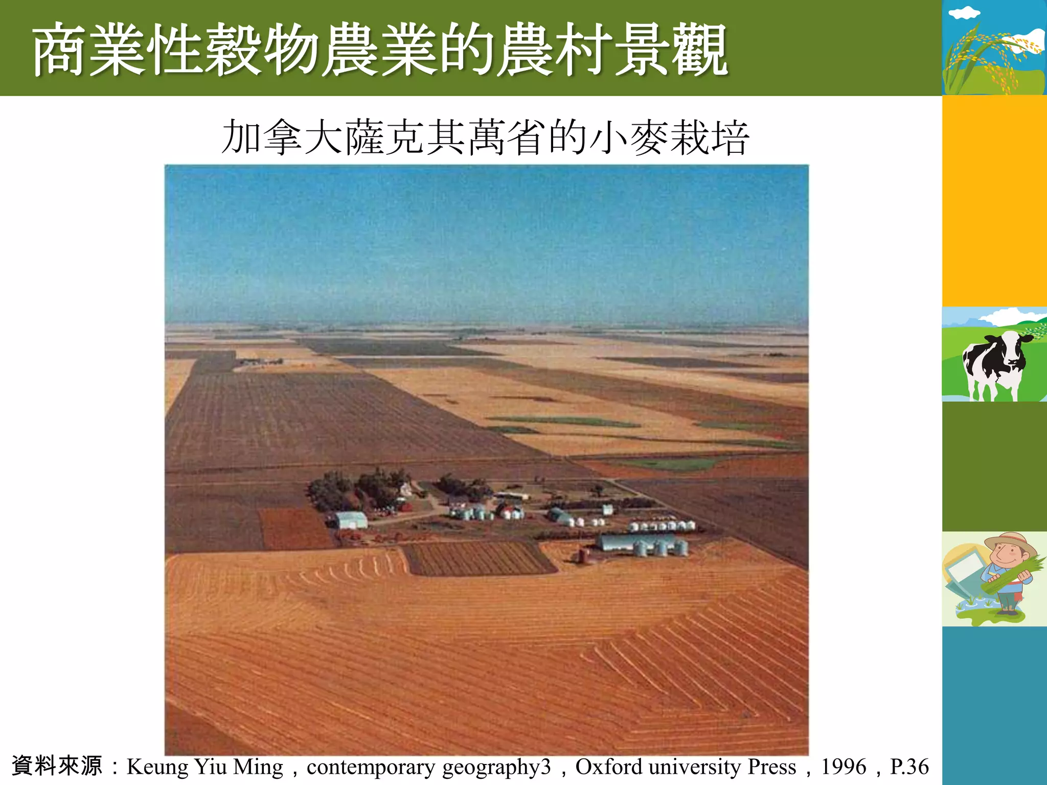 商業性穀物農業的農村景觀
                 加拿大薩克其萬省的小麥栽培




資料來源：Keung Yiu Ming，contemporary geography3，Oxford university Press，1996，P.36
 