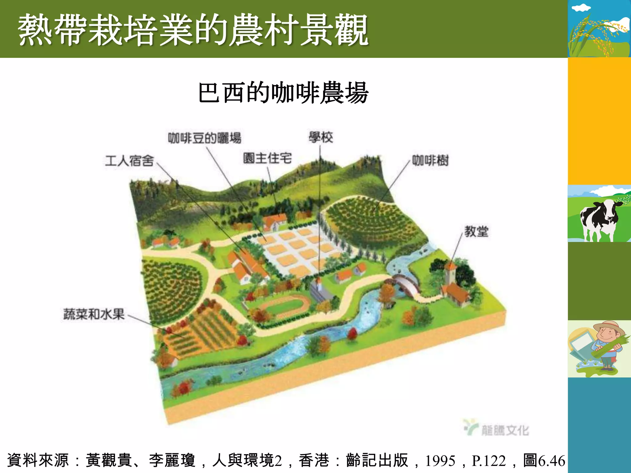 熱帶栽培業的農村景觀
              巴西的咖啡農場




資料來源：黃觀貴、李麗瓊，人與環境2，香港：齡記出版，1995，P.122，圖6.46
 