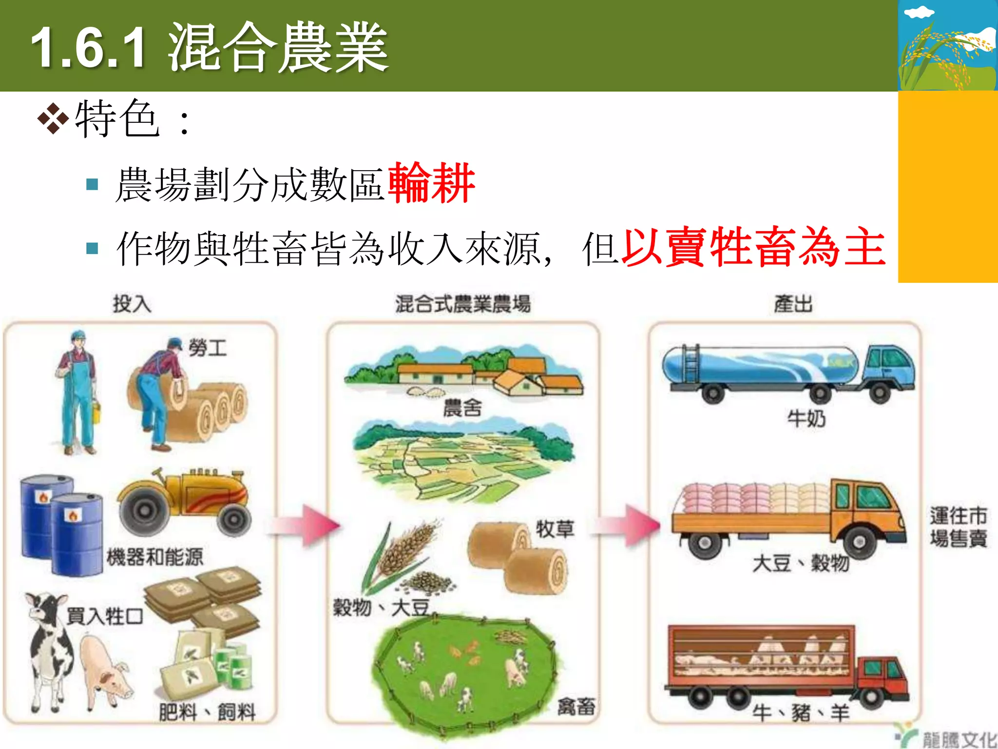 1.6.1 混合農業
特色：
  農場劃分成數區輪耕
  作物與牲畜皆為收入來源，但以賣牲畜為主

活動形式：
 