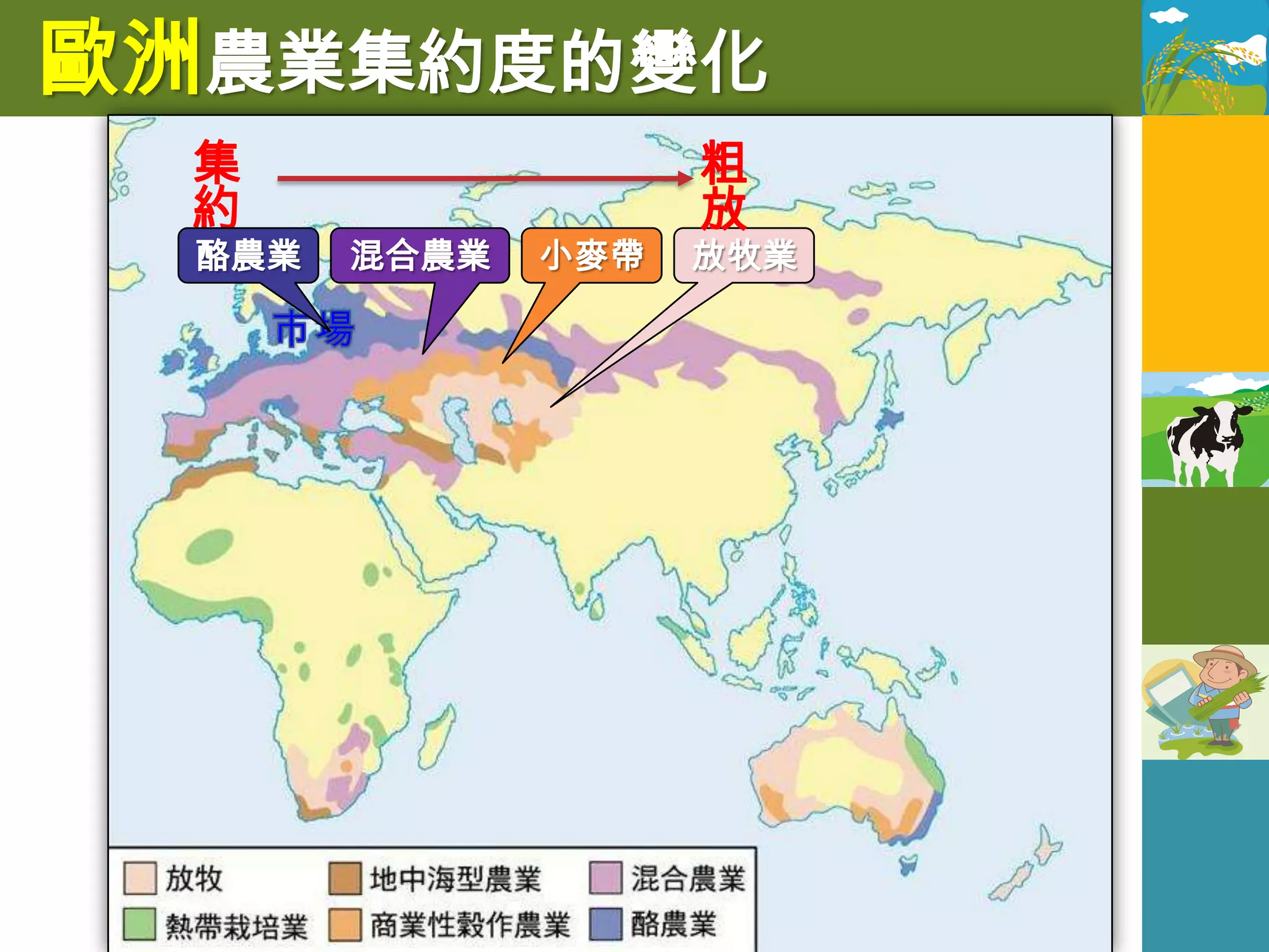 歐洲農業集約度的變化
  集                  粗
  約                  放
  酪農業   混合農業   小麥帶   放牧業
 