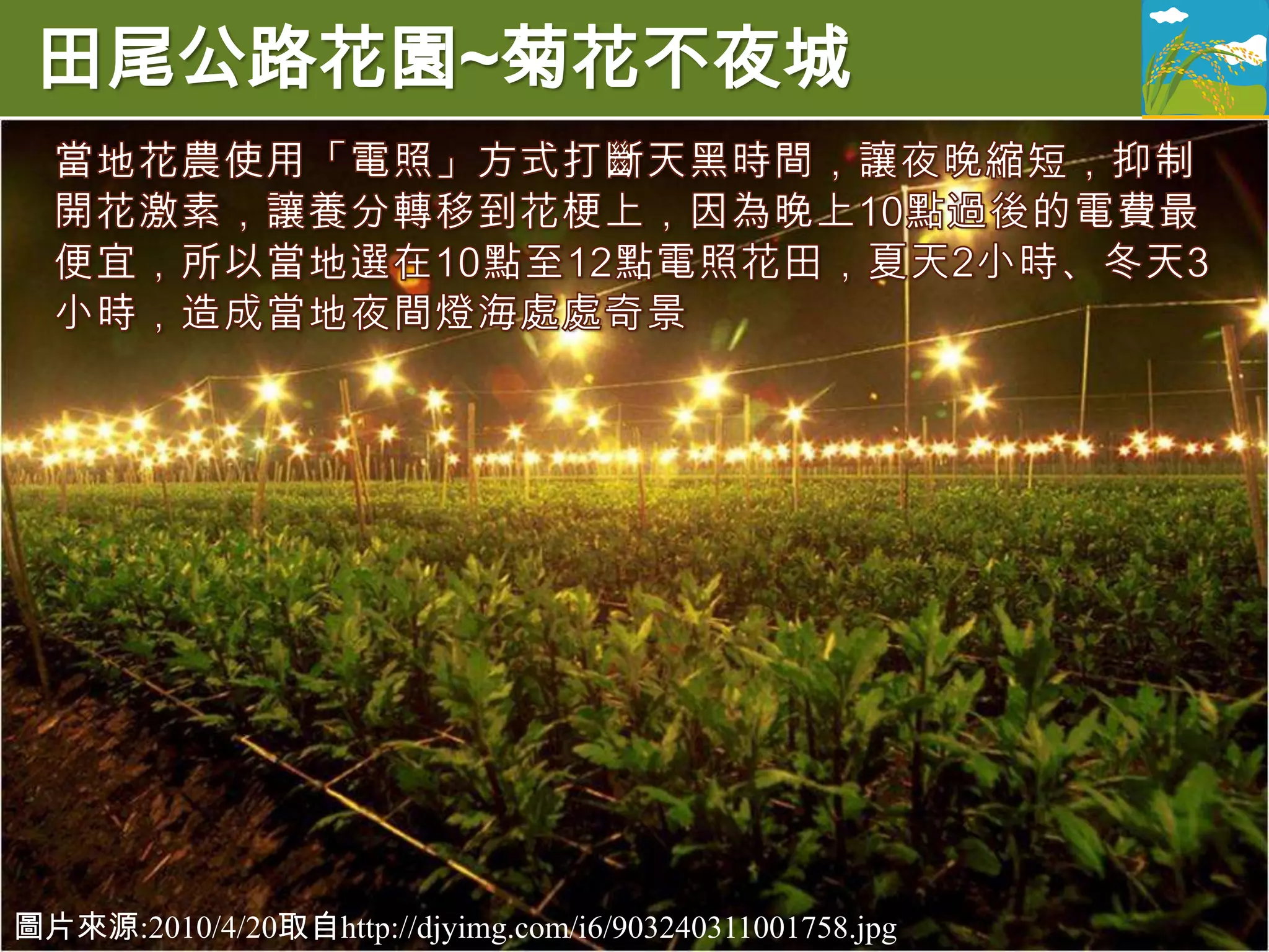 田尾公路花園~菊花不夜城




圖片來源:2010/4/20取自http://djyimg.com/i6/903240311001758.jpg
 