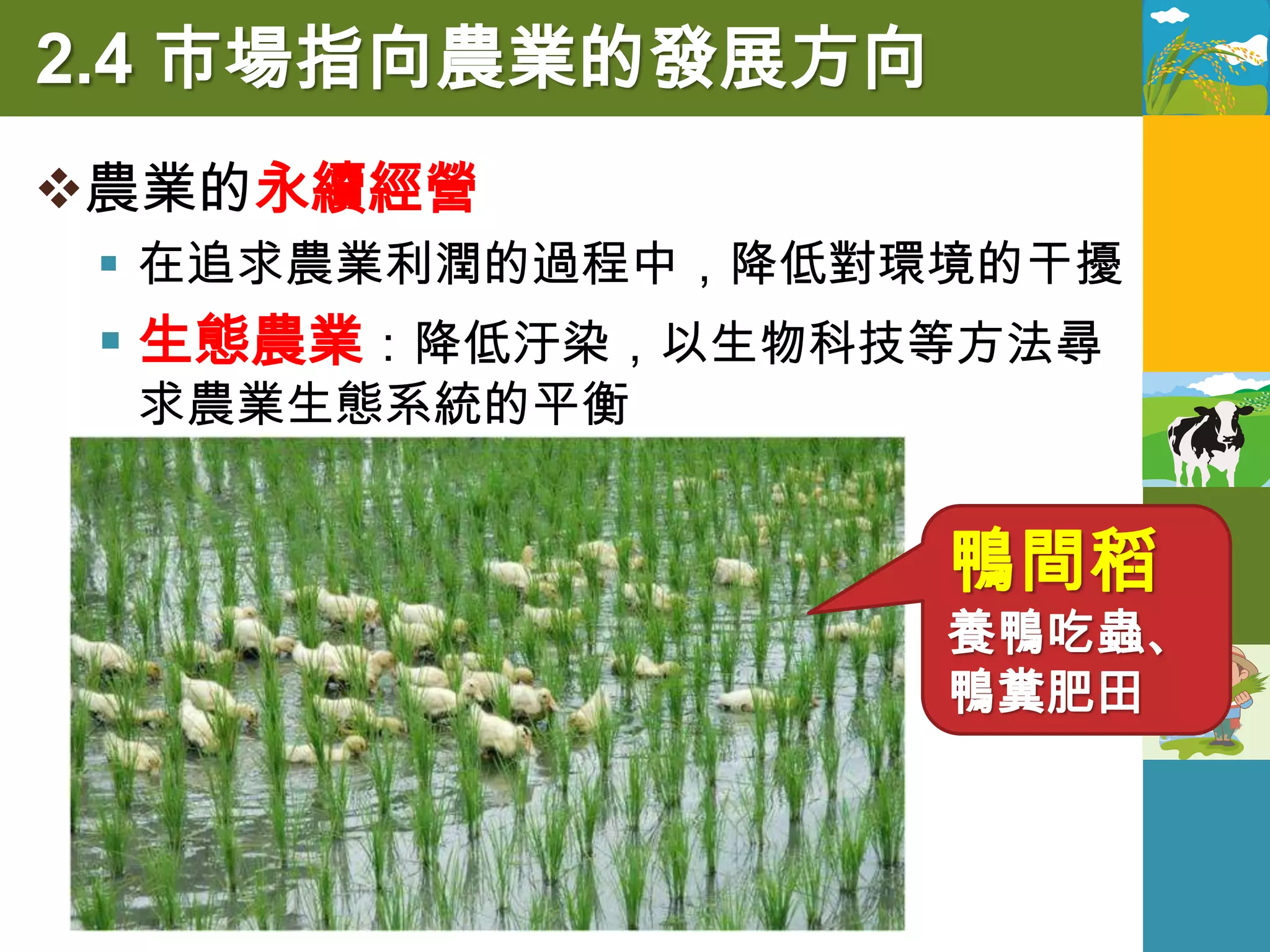 2.4 市場指向農業的發展方向
農業的永續經營
  在追求農業利潤的過程中，降低對環境的干擾
  生態農業：降低汙染，以生物科技等方法尋
 求農業生態系統的平衡


                   鴨間稻
                   養鴨吃蟲、
                   鴨糞肥田
 