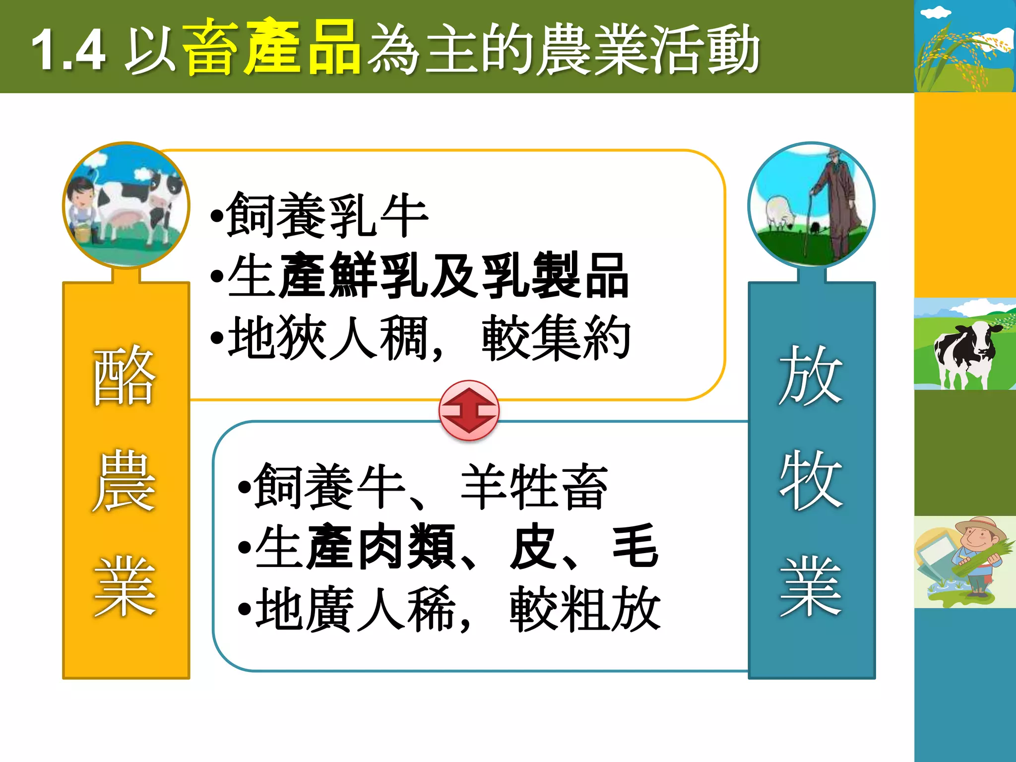 1.4 以畜產品為主的農業活動

   •飼養乳牛
   •生產鮮乳及乳製品
   •地狹人稠，較集約

    •飼養牛、羊牲畜
    •生產肉類、皮、毛
    •地廣人稀，較粗放
 