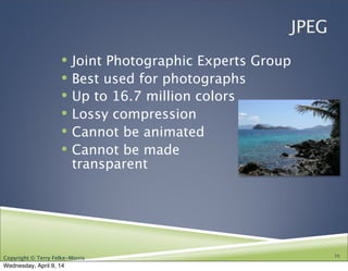 Copyright © Terry Felke-Morris
JPEG
! Joint Photographic Experts Group
! Best used for photographs
! Up to 16.7 million colors
! Lossy compression
! Cannot be animated
! Cannot be made
transparent
16
Wednesday, April 9, 14
 