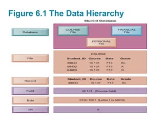 Foundations of Business Intelligence: Databases and Information ...