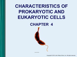 Copyright © 2012 John Wiley & Sons, Inc. All rights reserved.
CHARACTERISTICS OF
PROKARYOTIC AND
EUKARYOTIC CELLS
CHAPTER 4
 