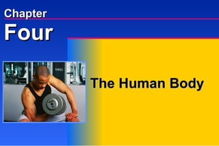 The Human Body Four Chapter 