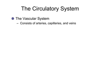 The Circulatory System
The Vascular System
– Consists of arteries, capillaries, and veins
 