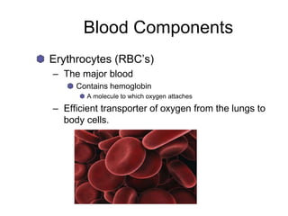 Blood Components
Erythrocytes (RBC’s)
– The major blood
Contains hemoglobin
A molecule to which oxygen attaches
– Efficient transporter of oxygen from the lungs to
body cells.
 