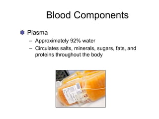 Blood Components
Plasma
– Approximately 92% water
– Circulates salts, minerals, sugars, fats, and
proteins throughout the body
 