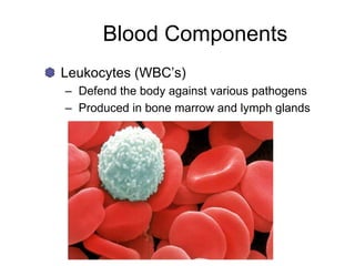Blood Components
Leukocytes (WBC’s)
– Defend the body against various pathogens
– Produced in bone marrow and lymph glands
 