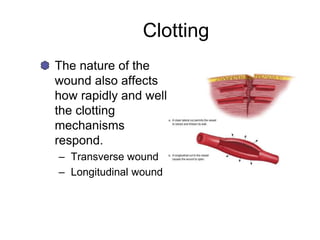 Clotting
The nature of the
wound also affects
how rapidly and well
the clotting
mechanisms
respond.
– Transverse wound
– Longitudinal wound
 