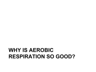 WHY IS AEROBIC
RESPIRATION SO GOOD?
 