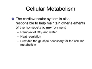 Cellular Metabolism
The cardiovascular system is also
responsible to help maintain other elements
of the homeostatic environment
– Removal of CO2 and water
– Heat regulation
– Provides the glucose necessary for the cellular
metabolism
 