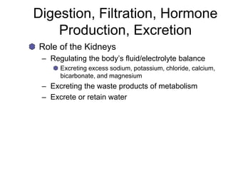 Digestion, Filtration, Hormone
Production, Excretion
Role of the Kidneys
– Regulating the body’s fluid/electrolyte balance
Excreting excess sodium, potassium, chloride, calcium,
bicarbonate, and magnesium
– Excreting the waste products of metabolism
– Excrete or retain water
 