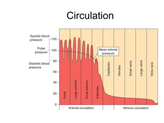 Circulation
 