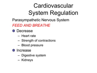 Cardiovascular
System Regulation
Parasympathetic Nervous System
FEED AND BREATHE
Decrease
– Heart rate
– Strength of contractions
– Blood pressure
Increase
– Digestive system
– Kidneys
 