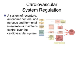 Cardiovascular
System Regulation
A system of receptors,
autonomic centers, and
nervous and hormonal
interventions maintains
control over the
cardiovascular system
 