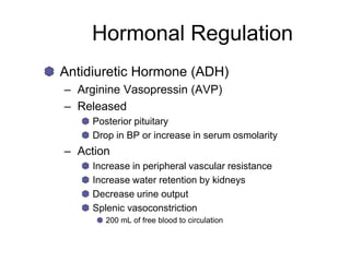 Hormonal Regulation
Antidiuretic Hormone (ADH)
– Arginine Vasopressin (AVP)
– Released
Posterior pituitary
Drop in BP or increase in serum osmolarity
– Action
Increase in peripheral vascular resistance
Increase water retention by kidneys
Decrease urine output
Splenic vasoconstriction
200 mL of free blood to circulation
 