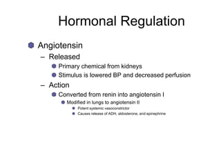 Hormonal Regulation
Angiotensin
– Released
Primary chemical from kidneys
Stimulus is lowered BP and decreased perfusion
– Action
Converted from renin into angiotensin I
Modified in lungs to angiotensin II
Potent systemic vasoconstrictor
Causes release of ADH, aldosterone, and epinephrine
 