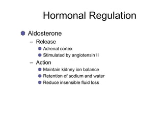 Hormonal Regulation
Aldosterone
– Release
Adrenal cortex
Stimulated by angiotensin II
– Action
Maintain kidney ion balance
Retention of sodium and water
Reduce insensible fluid loss
 