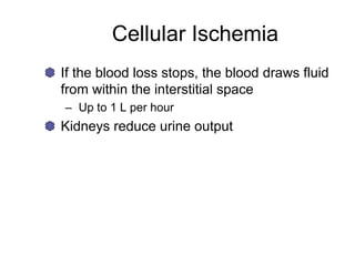 Cellular Ischemia
If the blood loss stops, the blood draws fluid
from within the interstitial space
– Up to 1 L per hour
Kidneys reduce urine output
 