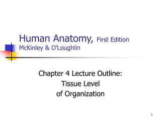 1
Human Anatomy, First Edition
McKinley & O'Loughlin
Chapter 4 Lecture Outline:
Tissue Level
of Organization
 