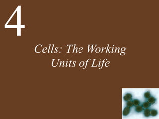 Cells: The Working
Units of Life
4
 