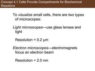 AP Biology Chapter 4 Cells Notes | PPT