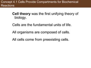 AP Biology Chapter 4 Cells Notes | PPT