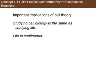 AP Biology Chapter 4 Cells Notes | PPT