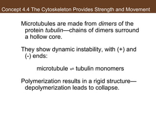 AP Biology Chapter 4 Cells Notes | PPT