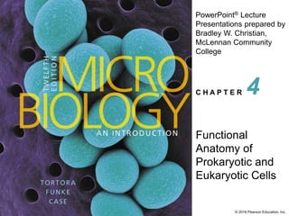 PowerPoint® Lecture
Presentations prepared by
Bradley W. Christian,
McLennan Community
College
C H A P T E R
© 2016 Pearson Education, Inc.
Functional
Anatomy of
Prokaryotic and
Eukaryotic Cells
4
 