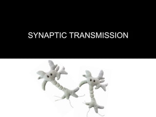 SYNAPTIC TRANSMISSION
 