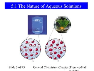 5.1 The Nature of Aqueous Solutions




Slide 3 of 43   General Chemistry: Chapter 5
                                           Prentice-Hall
 