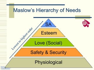 Maslow’s Hierarchy of Needs
Physiological
Safety & Security
Love (Social)
Esteem
SA
 