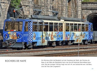 Von Montreux fährt die Bergbahn auf den Hausberg der Stadt, den Rochers de
Naye. In der Nähe der Bergstation kann man die dort lebenden Murmeltiere besu-
chen. Bei den putzigen Tierchen fragt man sich oft, wer beobachtet wen: die Besu-
cher die Tiere oder umgekehrt?
29
ROCHERS DE NAYE
 
