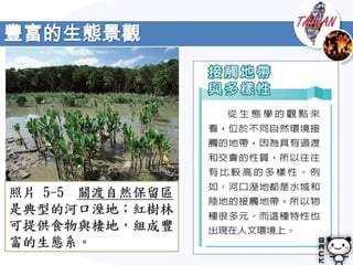 豐富的生態景觀
 