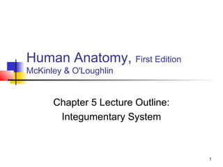 1
Human Anatomy, First Edition
McKinley & O'Loughlin
Chapter 5 Lecture Outline:
Integumentary System
 