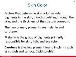 © 2019 McGraw-Hill Education
17
Skin Color1
Factors that determine skin color include
pigments in the skin, blood circulating through the
skin, and the thickness of the stratum corneum.
The two primary pigments are melanin and
carotene.
Melanin is the group of pigments primarily
responsible for skin, hair, and eye color.
Carotene is a yellow pigment found in plants such
as squash and carrots. (lipid soluble)
 
