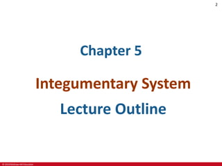 © 2019 McGraw-Hill Education
2
Chapter 5
Integumentary System
Lecture Outline
 