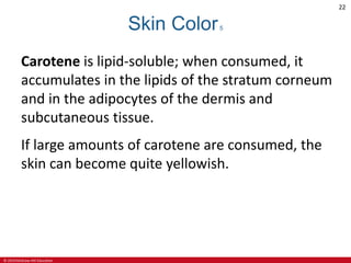 © 2019 McGraw-Hill Education
22
Skin Color5
Carotene is lipid-soluble; when consumed, it
accumulates in the lipids of the stratum corneum
and in the adipocytes of the dermis and
subcutaneous tissue.
If large amounts of carotene are consumed, the
skin can become quite yellowish.
 