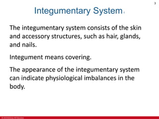 © 2019 McGraw-Hill Education
3
Integumentary System1
The integumentary system consists of the skin
and accessory structures, such as hair, glands,
and nails.
Integument means covering.
The appearance of the integumentary system
can indicate physiological imbalances in the
body.
 