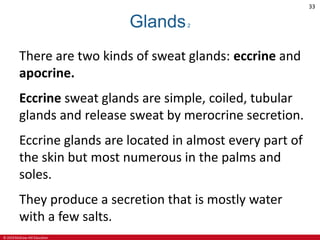 © 2019 McGraw-Hill Education
33
Glands2
There are two kinds of sweat glands: eccrine and
apocrine.
Eccrine sweat glands are simple, coiled, tubular
glands and release sweat by merocrine secretion.
Eccrine glands are located in almost every part of
the skin but most numerous in the palms and
soles.
They produce a secretion that is mostly water
with a few salts.
 