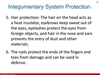 © 2019 McGraw-Hill Education
41
Integumentary System Protection2
5. Hair protection: The hair on the head acts as
a heat insulator, eyebrows keep sweat out of
the eyes, eyelashes protect the eyes from
foreign objects, and hair in the nose and ears
prevents the entry of dust and other
materials.
6. The nails protect the ends of the fingers and
toes from damage and can be used in
defense.
 