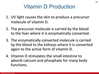 © 2019 McGraw-Hill Education
43
Vitamin D Production
1. UV light causes the skin to produce a precursor
molecule of vitamin D.
2. The precursor molecule is carried by the blood
to the liver where it is enzymatically converted.
3. The enzymatically converted molecule is carried
by the blood to the kidneys where it is converted
again to the active form of vitamin D.
4. Vitamin D stimulates the small intestine to
absorb calcium and phosphate for many body
functions.
 