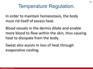 © 2019 McGraw-Hill Education
45
Temperature Regulation2
In order to maintain homeostasis, the body
must rid itself of excess heat.
Blood vessels in the dermis dilate and enable
more blood to flow within the skin, thus causing
heat to dissipate from the body.
Sweat also assists in loss of heat through
evaporative cooling.
 