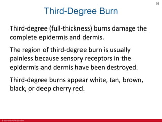 © 2019 McGraw-Hill Education
53
Third-Degree Burn
Third-degree (full-thickness) burns damage the
complete epidermis and dermis.
The region of third-degree burn is usually
painless because sensory receptors in the
epidermis and dermis have been destroyed.
Third-degree burns appear white, tan, brown,
black, or deep cherry red.
 