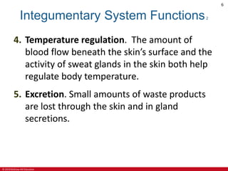 © 2019 McGraw-Hill Education
6
Integumentary System Functions2
4. Temperature regulation. The amount of
blood flow beneath the skin’s surface and the
activity of sweat glands in the skin both help
regulate body temperature.
5. Excretion. Small amounts of waste products
are lost through the skin and in gland
secretions.
 